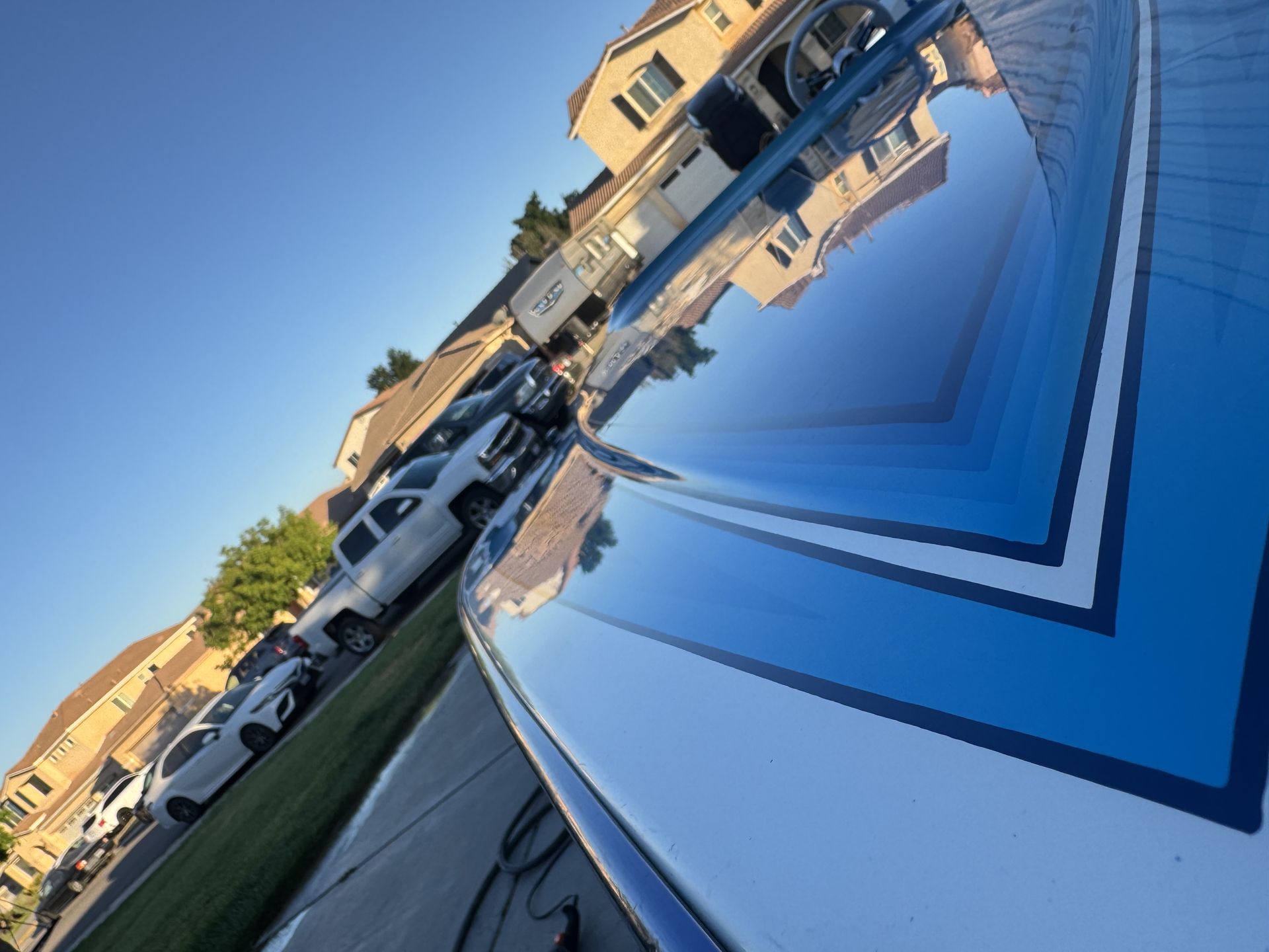 Apex Gloss Detailing project photo